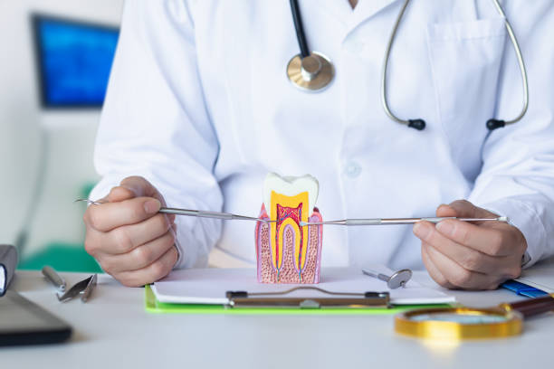 Best Dentist for Severe Toothache  in South Plainfield, NJ